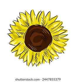 sunflower isolated on white drawing vector,comic art	