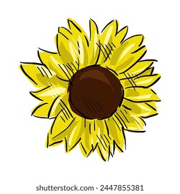 sunflower isolated on white drawing vector,comic art	