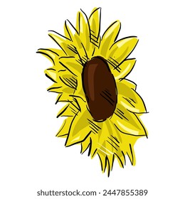 sunflower isolated on white drawing vector,comic art	