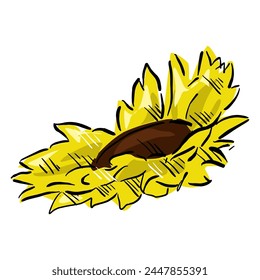 sunflower isolated on white drawing vector,comic art	