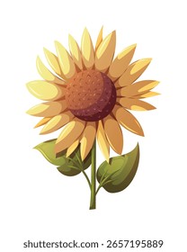 Girassol isolado no branco. Ilustração vetorial.