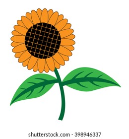 Sunflower isolated on white vector illustration