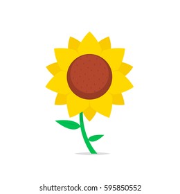 Sunflower isolated vector