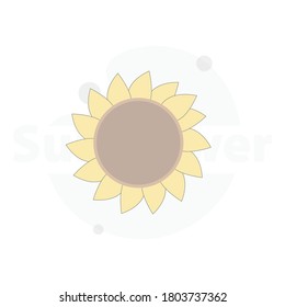 sunflower isolated vector flat illustration