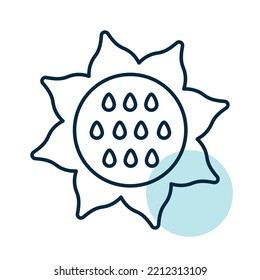 Sunflower isolated vector icon. Vegetable sign. Graph symbol for food and drinks web site, apps design, mobile apps and print media, logo, UI
