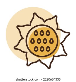 Sunflower isolated vector icon. Vegetable sign. Graph symbol for food and drinks web site, apps design, mobile apps and print media, logo, UI
