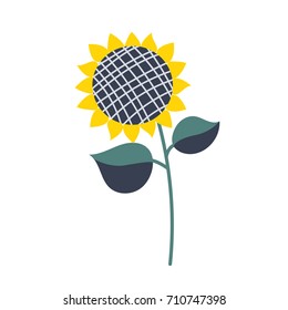 Sunflower isolated vector illustration cartoon style. Summer agriculture seed flower.