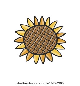 Sunflower Isolated In White, Sketch For Your Design. Vector Illustration