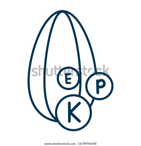 Sunflower Kernel Icon Seed Containing Useful Stock Vector Royalty Free