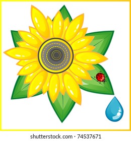 Sunflower  ladybird