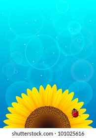 Sunflower and ladybird on blue background. Vector illustration.