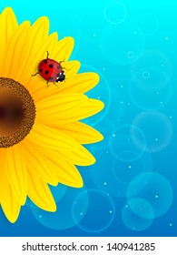 Sunflower and ladybird on blue background. Vector illustration.