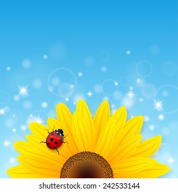 Sunflower and ladybird on blue background. Vector illustration. 