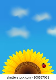 Sunflower and ladybird on blue sky. Vector illustration.