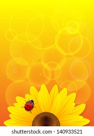 Sunflower and ladybird on yellow background. Vector illustration.