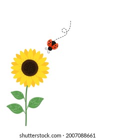 Sunflower and ladybug cartoon isolated on white background vector illustration.