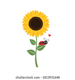 Girasol y mariquita en la ilustración del vector de fondo blanco. Caricatura divertida.