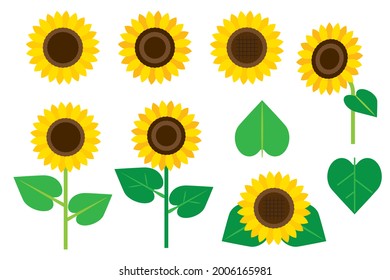 Sunflower and leaf illustration material set