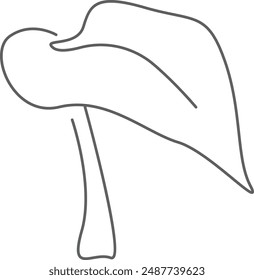 Sunflower Leaf Line Art Vector Illustration