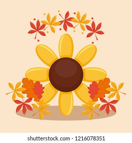 sunflower with leafs of thanksgiving day