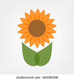 Sunflower and leaves