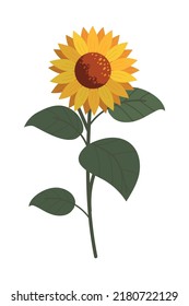 icono de girasol y hojas aisladas