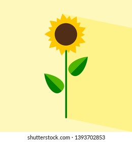 Sunflower with leaves isolated on background. Vector illustration.