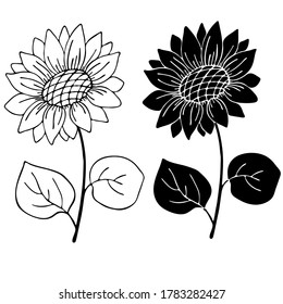 sunflower and leaves in monochrome colors, isolate on a white background, linear drawing