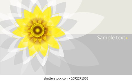 sunflower line. abstraction