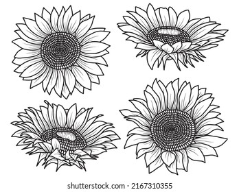 Sunflower Line Art flower vector svg