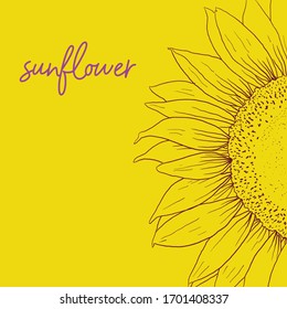 sunflower line art hand draw vector illustration