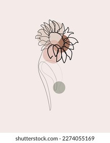 Sunflower line art. Minimalist contour drawing. One line artwork.