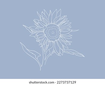Sunflower line art on blue background.  Outline wedding flowers vector illustration