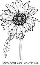 Sunflower Line Art Vector Floral Linear Stock Vector (Royalty Free ...