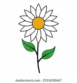 Sunflower Line Art Vector on white background