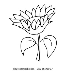 sunflower line art vector on white background