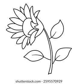 sunflower line art vector on white background