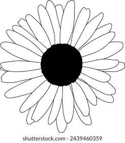 Dibujo de línea de girasol, trabajo de contorno de girasol sobre fondo blanco