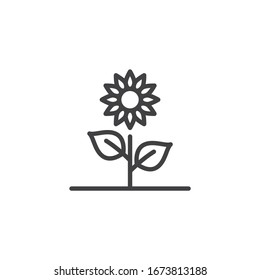 Icono de línea de girasol. Signo de estilo floral en crecimiento para concepto móvil y diseño web. Icono vectorial de contorno de flor de primavera. Símbolo, ilustración del logotipo. Gráficos vectoriales