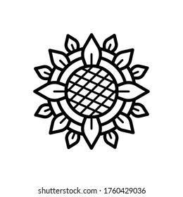 Sunflower line icon isolated on white background. Vector floral illustration. Botanical summer concept. For cutting, clipart, printing, monogram, shirt design.
