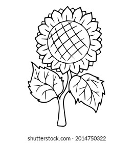 ilustración vectorial de línea de girasol, aislado en fondo blanco, vista superior