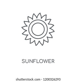 Sunflower linear icon. Sunflower concept stroke symbol design. Thin graphic elements vector illustration, outline pattern on a white background, eps 10.
