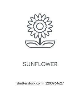 Sunflower linear icon. Sunflower concept stroke symbol design. Thin graphic elements vector illustration, outline pattern on a white background, eps 10.