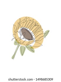 Sunflower linear icon. Sunflower concept stroke symbol design. Thin graphic elements vector illustration, outline pattern on a white background, eps 10.