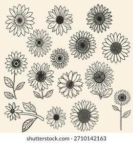 Conjunto de diseño monocromático lineal de girasol