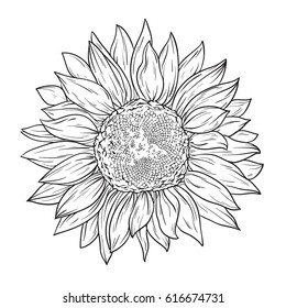 Sunflower Black Background Images, Stock Photos & Vectors | Shutterstock