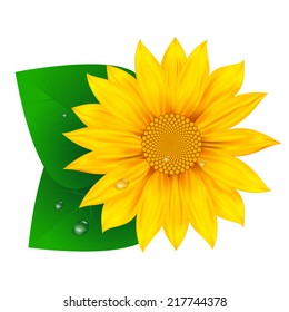 sunflower logo