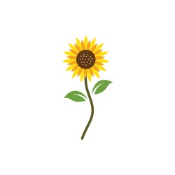 Sunflower Logo Icon Vector Illustration