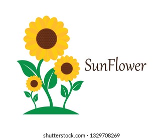 Sunflower logo icon vector illustration