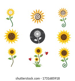 Sunflower Logo Icon Vector Illustration